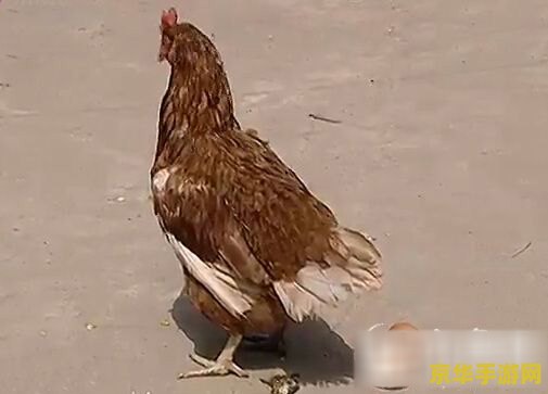 梦幻群侠传 游戏名称：梦幻群侠传