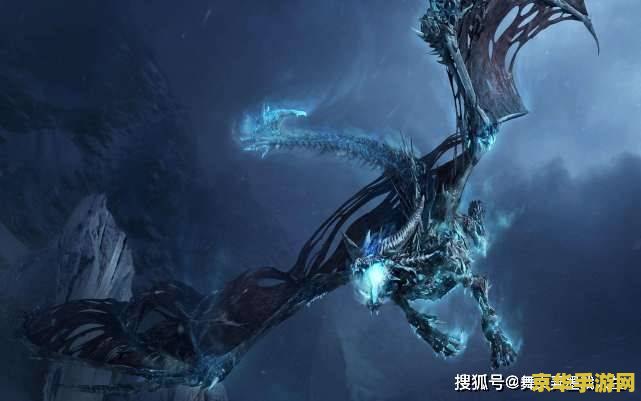 霍迪尔之盔：冰霜与神秘力量的完美融合