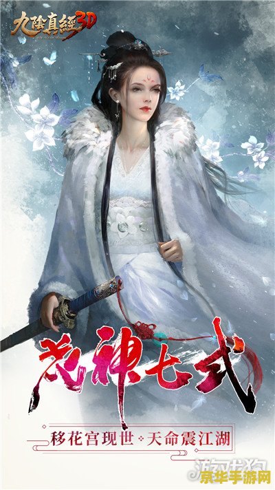 九阴真经 移花宫