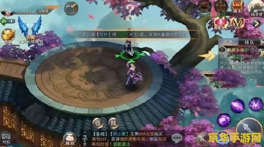 王者荣耀市服啥意思是什么 王者荣耀市服详解