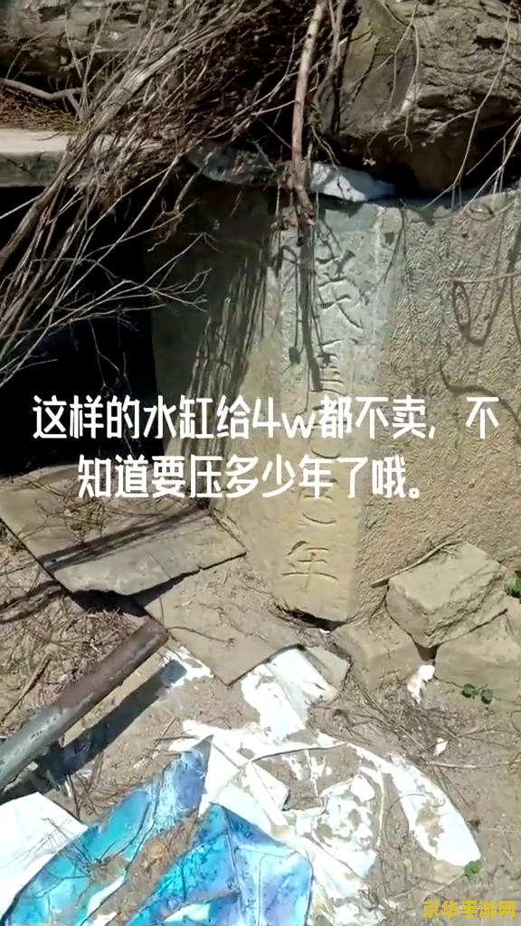 原神巨渊主矿区铁门没有草堆问题分析
