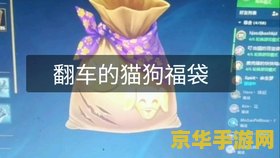 英雄联盟福袋开了之后在哪