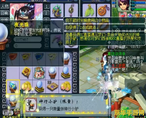 梦幻西游神行小驴