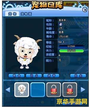 qq炫舞宠物名字