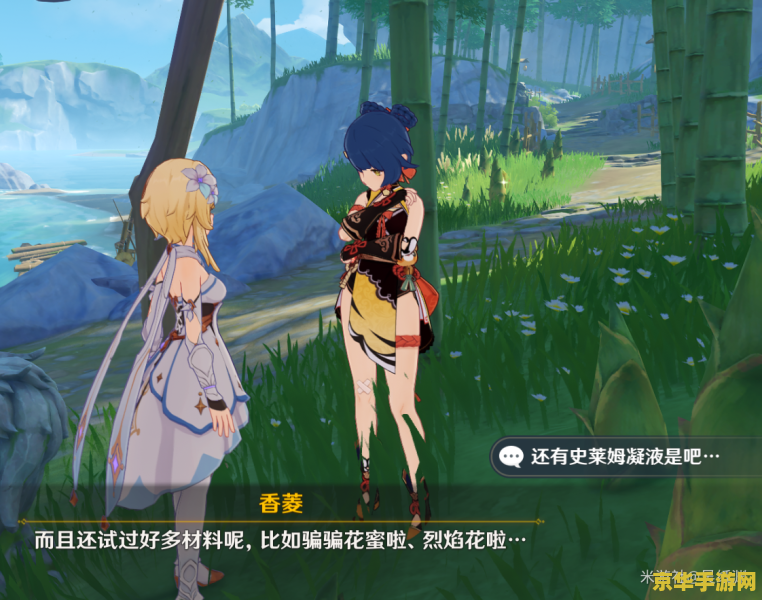 原神稻妻换原石的商人在哪
