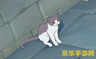 原神稻妻猫位置