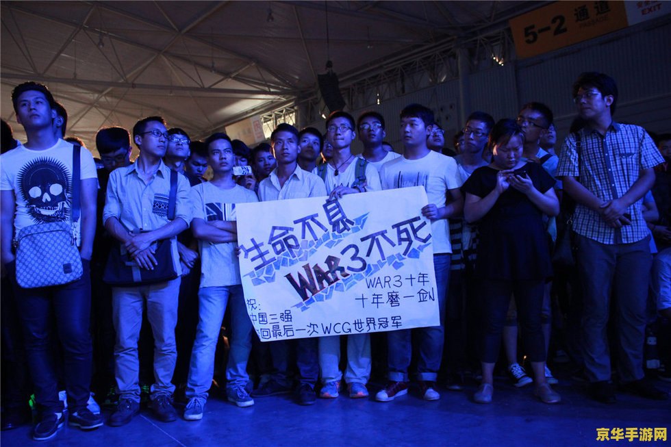 WCG2010中国区总决赛：电竞巅峰之战的激情与荣耀