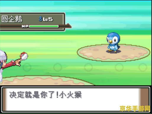 口袋妖怪白金金手指