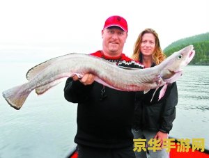 原神鱼钓了还有吗