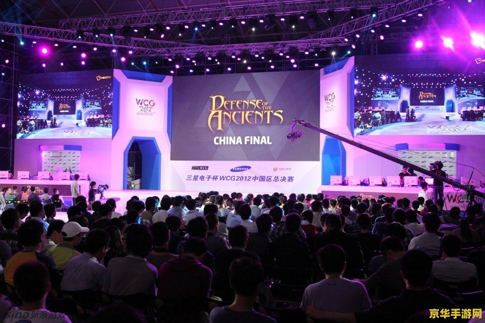 WCG2010中国区总决赛：电竞巅峰之战的激情与荣耀