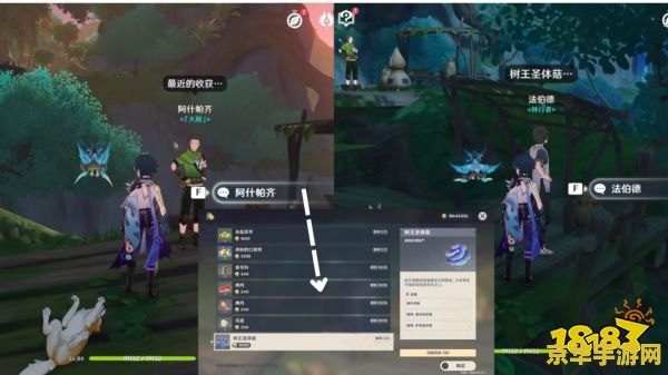 原神树王圣体菇攻略
