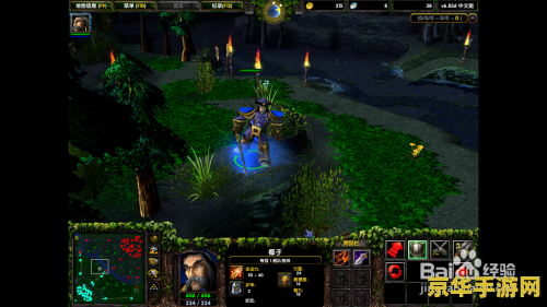 dota船长：英雄背景与游戏策略