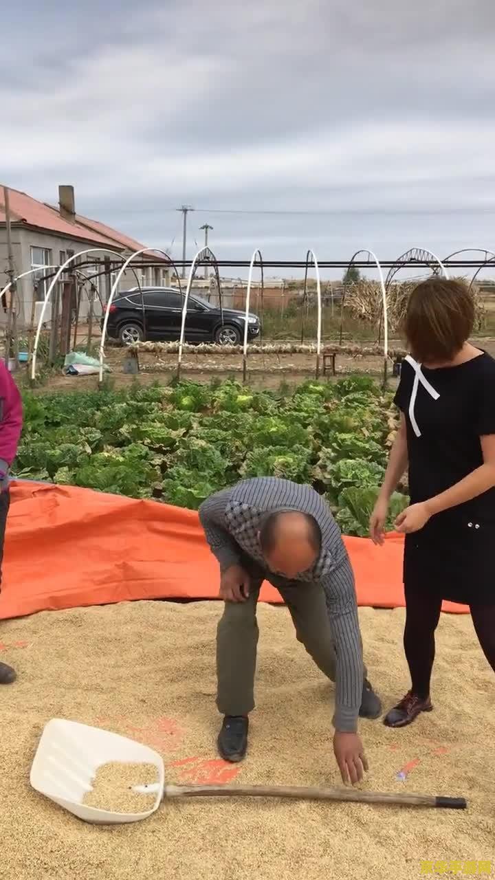 原神清新位置 原神清新位置：寻找游戏中的自然美景