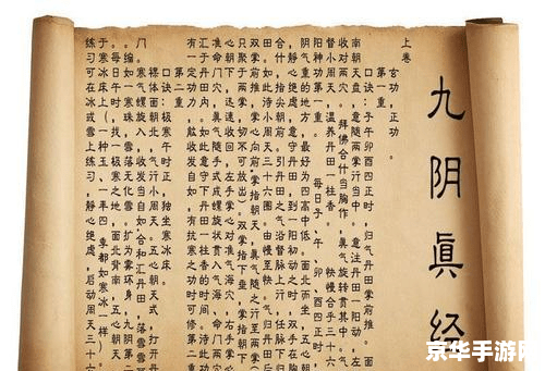 九阴真经君子堂二内：独特的内功与江湖风骨