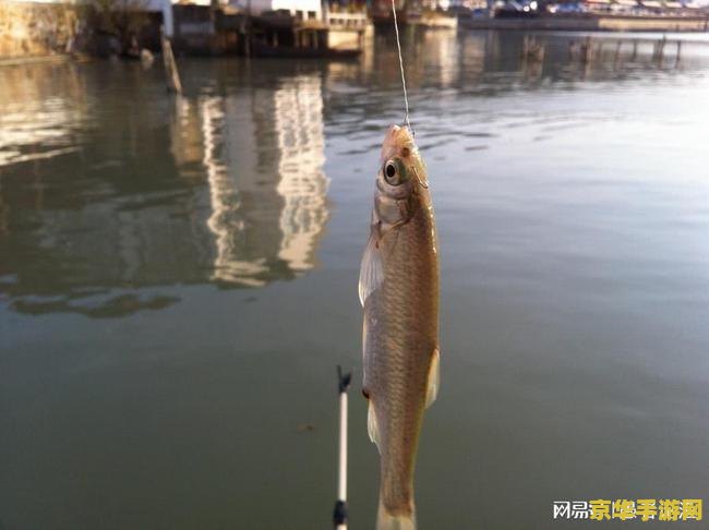 王者荣耀杨戬还叫什么名字 王者荣耀杨戬：原名之谜与游戏中的魅力