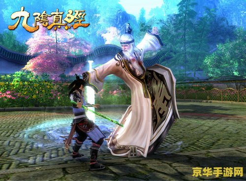 九阴真经君子堂二内：独特的内功与江湖风骨