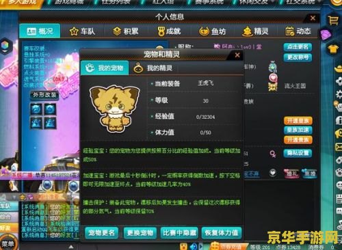 王者荣耀寒冰是什么 王者荣耀寒冰：冰封之刃，战场之影