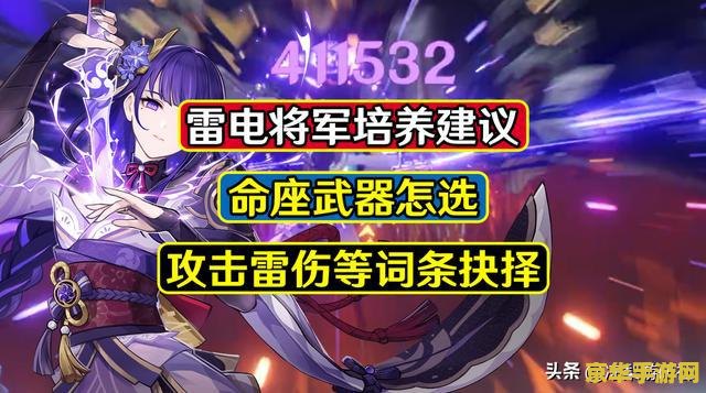 原神雷电将军训练怎么过