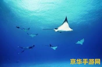 原神幽浮鳐钓鱼点