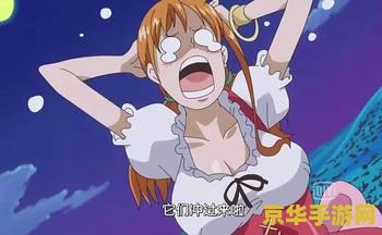 海贼王娜米攻略