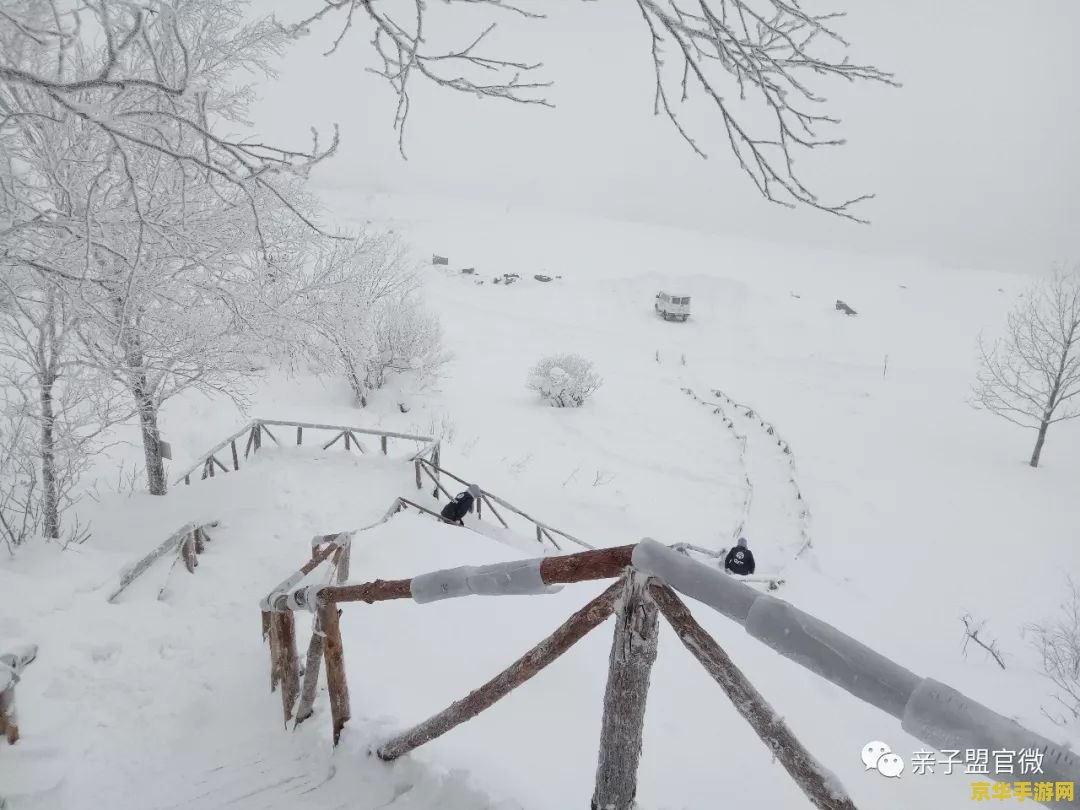 原神雪山描点怎么开