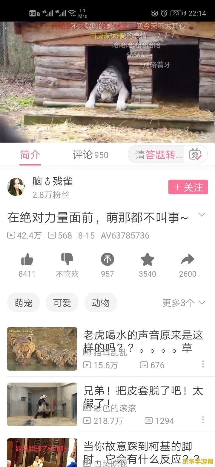王者荣耀4g网速延迟多少 王者荣耀4G网络延迟问题探讨