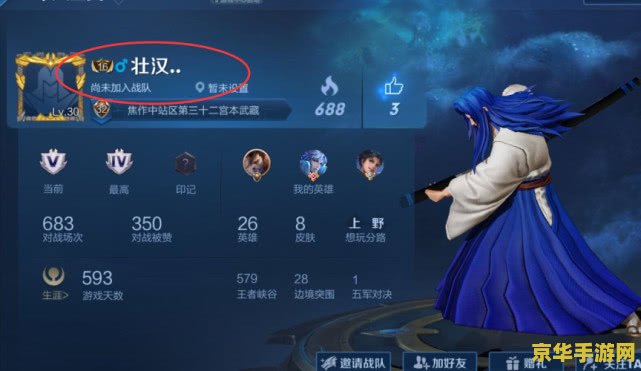 魔兽世界幽灵虎坐骑 魔兽世界幽灵虎坐骑：稀有与力量的象征