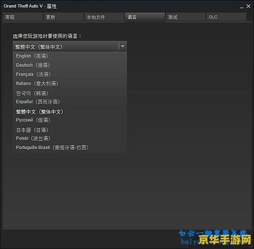 中文版GTA5配置