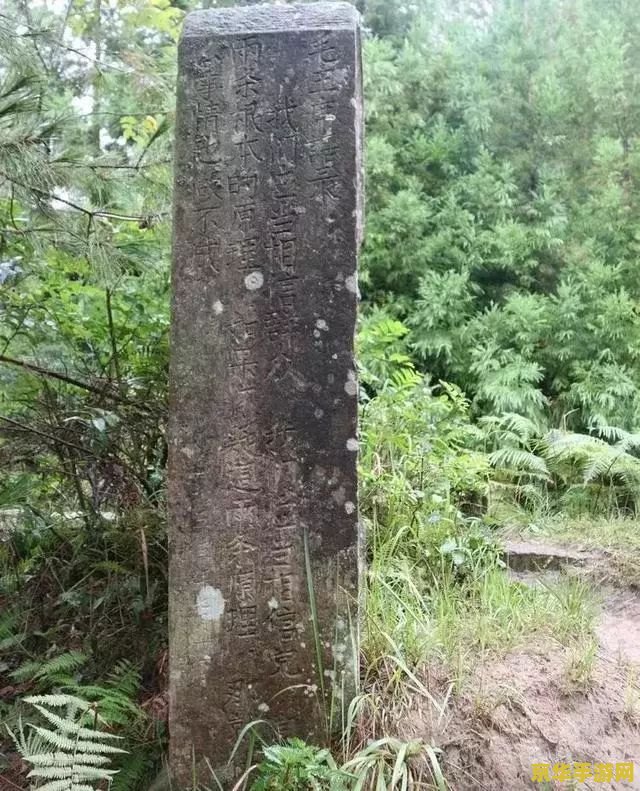 调查石壁上的灌木原神