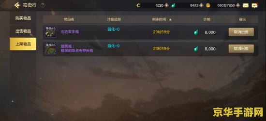 DNF紫玛瑙：游戏中的珍贵宝石，开启神秘之门