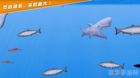 永恒岛信天翁：探索无尽的冒险与挑战