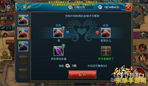 御龙在天霸刀属性加点：游戏攻略与技巧分析