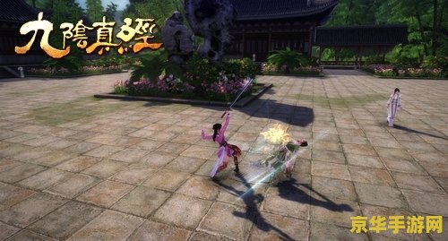 九阴真经君子堂内功：一种独特的武侠体验