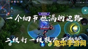 王者荣耀寒夜：游戏内的策略与技巧
