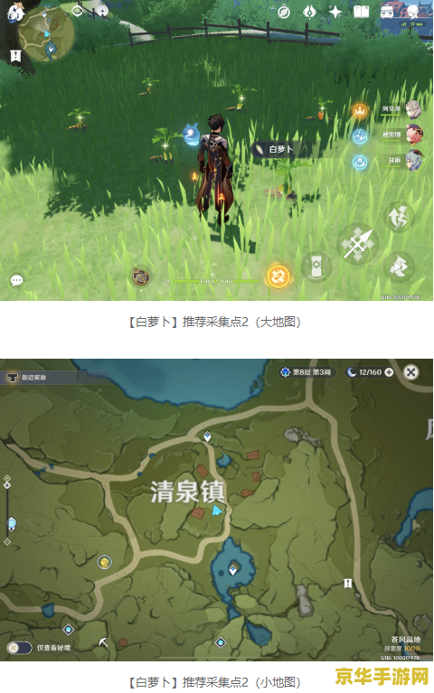 原神鸟蛋采集点