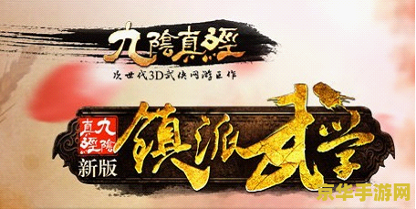 九阴真经镇派武学 /h3