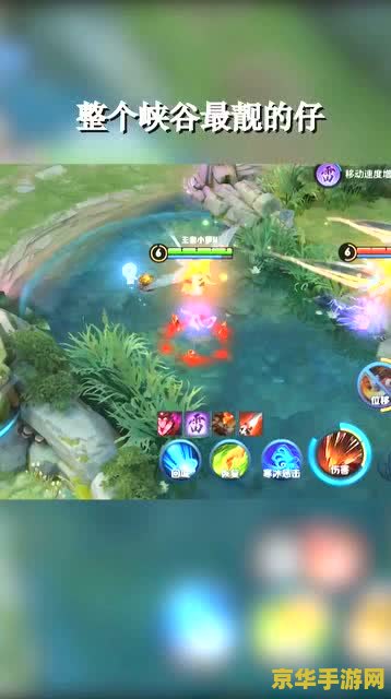 王者荣耀adc玩什么 **王者荣耀ADC英雄选择攻略**