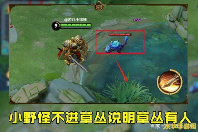 英雄联盟端游排位提莫符文攻略