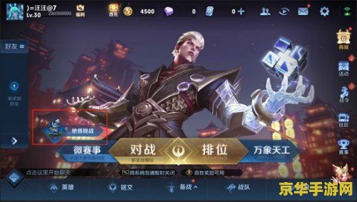 王者荣耀一共多少英雄 王者荣耀：英雄的荣耀与挑战