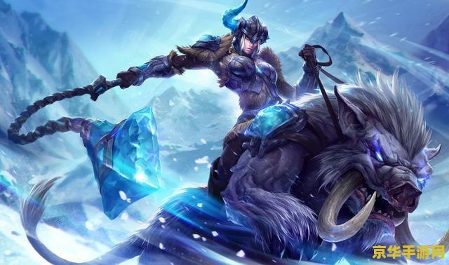 建议：恐龙快打双人无敌版：重温经典，共度欢乐时光