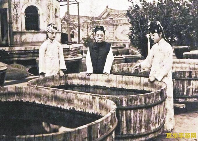 原神池中宅邸解密继电石雷灵