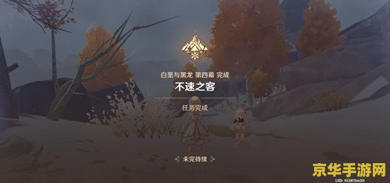 原神不速之客