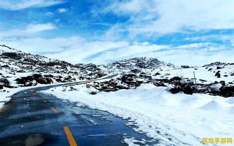原神雪山冰冷的收获
