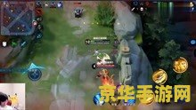 王者荣耀梦泪工资多少钱