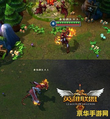 英雄联盟希瓦娜是什么职业