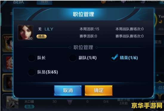 王者荣耀战队群买满要多少钱