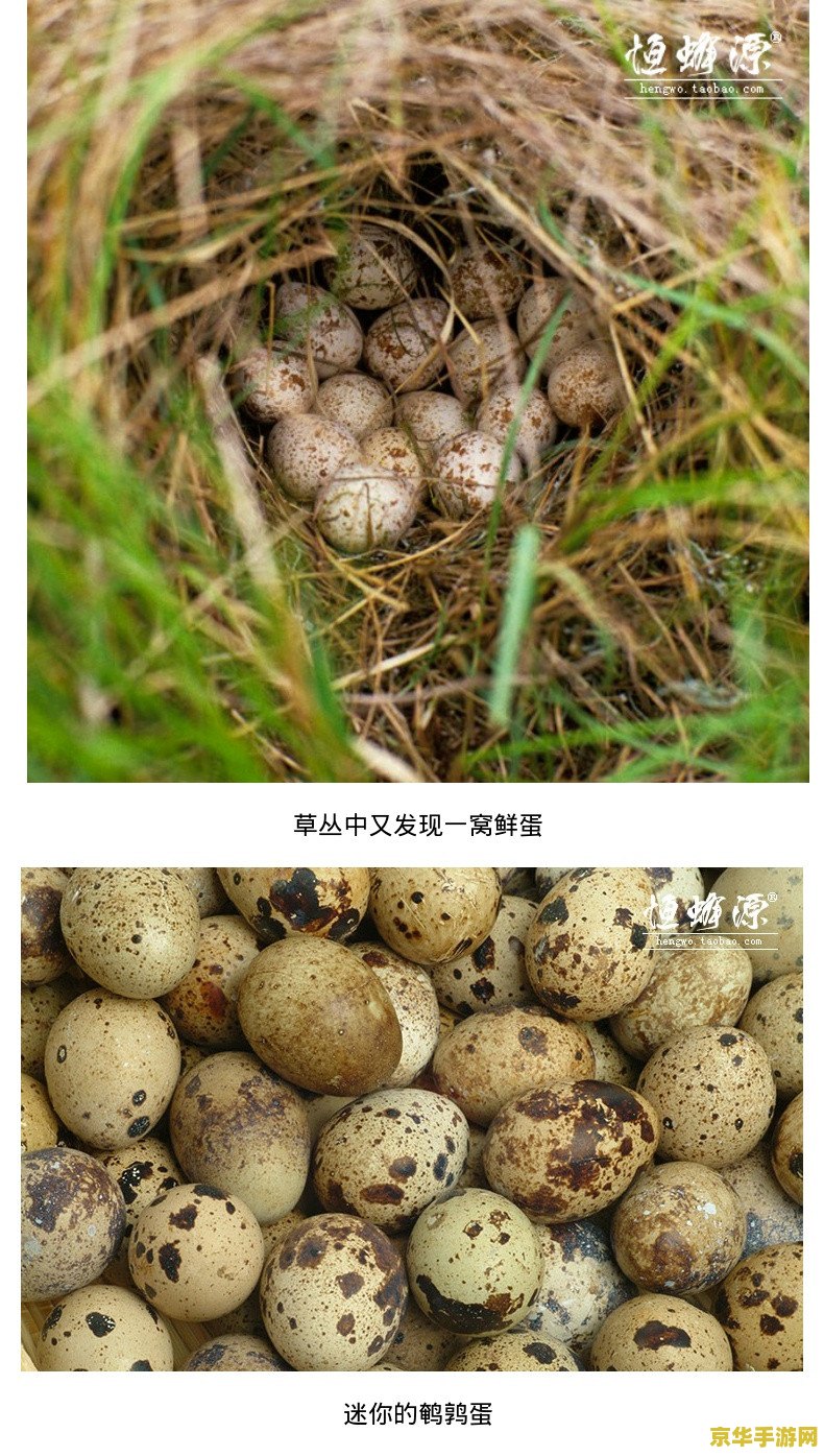 **王者荣耀中 出装是什么**