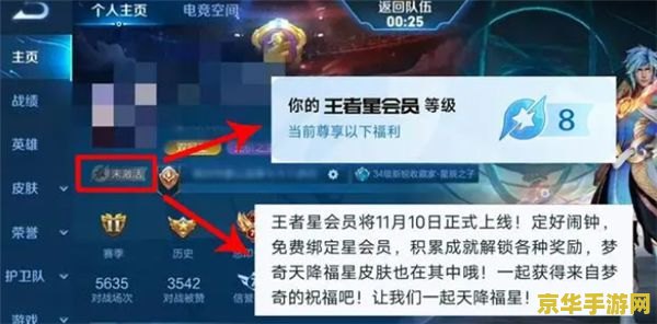 王者荣耀会员5级多少钱