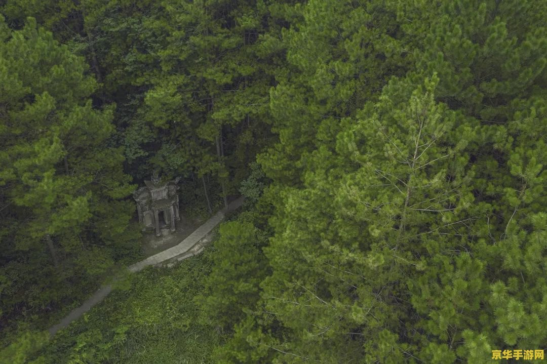 原神秘境曲径通幽之处攻略 原神秘境曲径通幽之处攻略