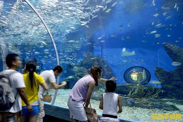 原神快艇 - 畅游神秘海洋的冒险之旅